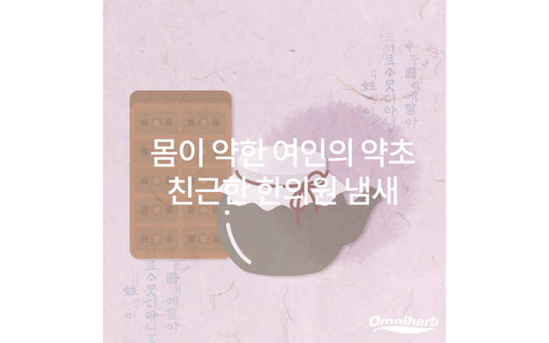 일당귀